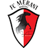 Logo Merani Martvili