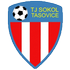 Logo Sokol Tasovice