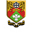 Logo Caerau Ely