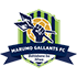 Logo Marumo Gallants