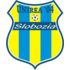 Logo FC Unirea Slobozia