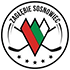 Logo Zaglebie Sosnowiec