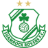 Logo Shamrock