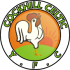 Logo Cockhill Celtic