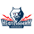 Logo Neftekhimik Nizhnekamsk