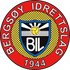 Logo Bergsoey