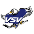 Logo EC VSV