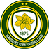 Logo Llanidloes Town FC
