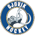 Logo Gjoevik