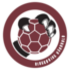 Logo Ringkoebing Handball