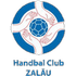 Logo HC Zalau