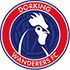 Logo Dorking Wanderers