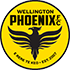 Logo Wellington Phoenix B