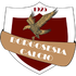 Logo Borgosesia