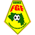 Logo Guinée