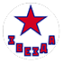 Logo Zvezda Chekhov