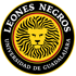 Logo Leones Negros II