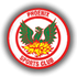 Logo Phoenix Sports