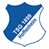 Logo Hoffenheim U19