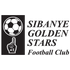 Logo Sibanye Golden Stars