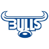 Logo Bulls