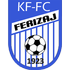 Logo Ferizaj