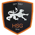 Logo HSG Graz