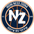Logo Ironi Nes Ziona