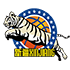 Logo Xinjiang Flying Tigers