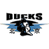 Logo Beijing Ducks