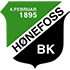 Logo Hoenefoss