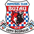 Logo CS HC Buzau 2012