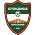 Logo Buyukcekmece Tepecikspor