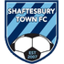 Logo Shaftesbury Town